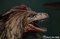 VBS_0903 - Dinosauri. Terra dei giganti
